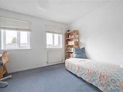 Picture 15